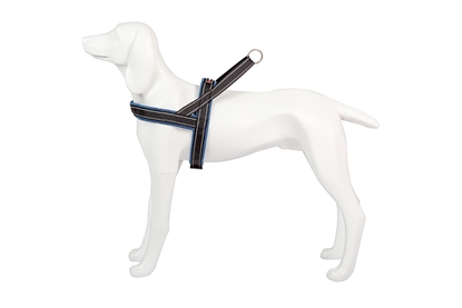 Picture of Freedog Padded Sport Harness